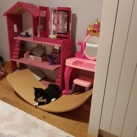 Wooden Balance Board with Pink Felt
